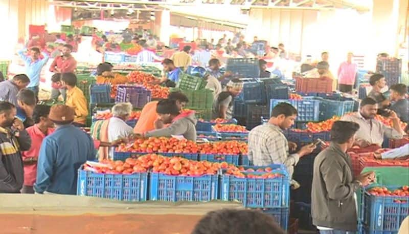 Farmer Got 30 Lakh Rs for Sold Tomato in Chikkamagaluru grg