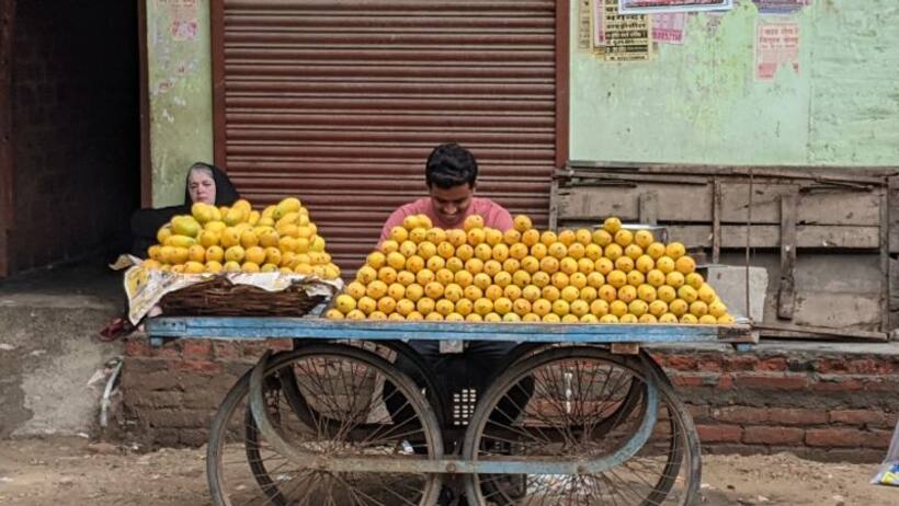  पाकिस्तान में मैंगो नहीं 'मक्खी शेक', Video देख आ जाएगी उल्टी ! 