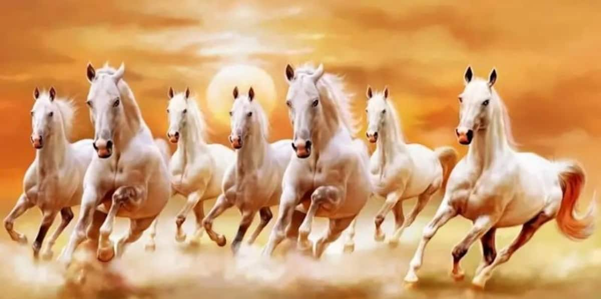 National Horse Day 2024 Interesting facts about horses; know types of