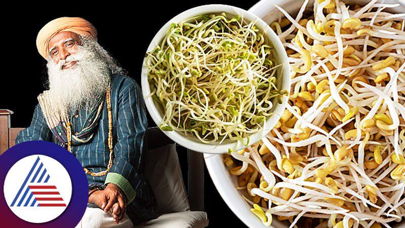 Sadhguru Shares Benefits of Consuming Sprouted Fenugreek Seeds roo