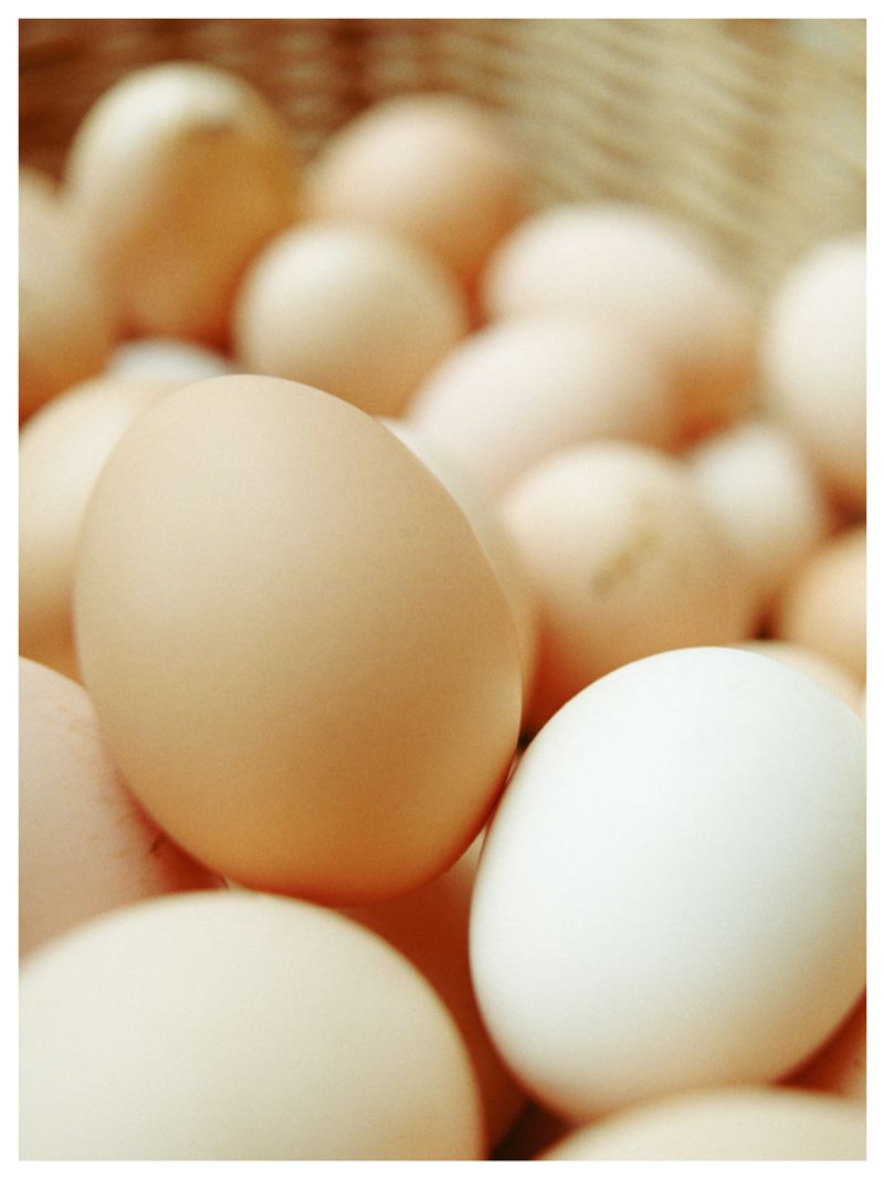 Singapore recalls eggs imported from Ukrainian farm