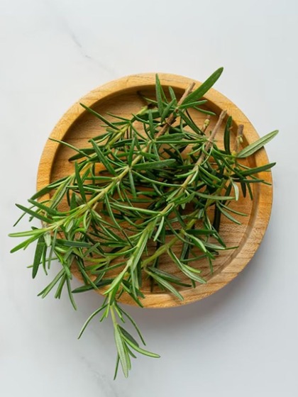 Rosemary