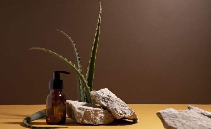 Interest grows in Ayurvedic beauty, but 1 in 5 Indian consumers find it old fashioned: Survey