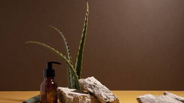 Interest grows in Ayurvedic beauty, but 1 in 5 Indian consumers find it old-fashioned: Survey Interest grows in Ayurvedic beauty, but 1 in 5 Indian consumers find it old-fashioned: Survey