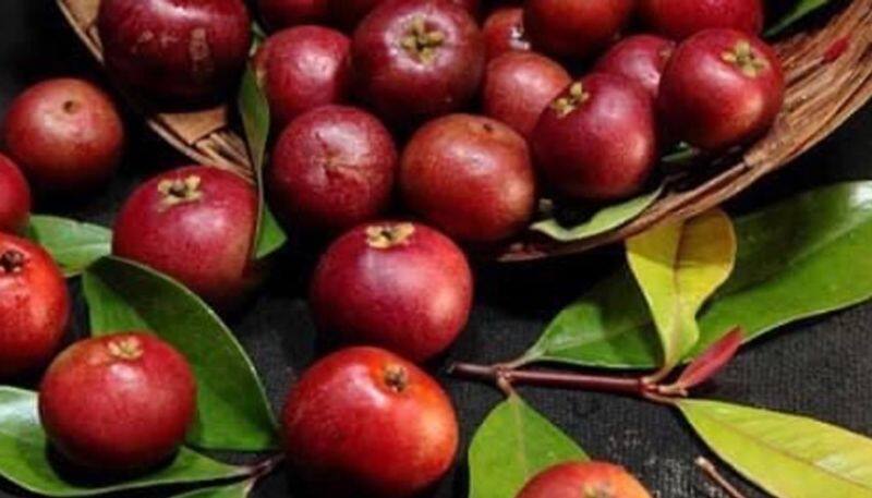 amazing health benefits of kokum agal in tamil mks