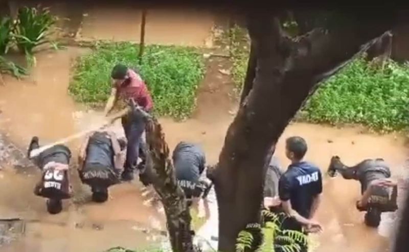 WATCH NCC cadets, face down in puddle amid rain in Thane, thrashed by senior; disturbing video goes viral snt