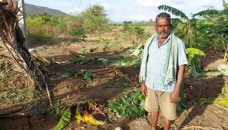 Elephants Destroyed Crops at Hanur in Chamarajanagara grg