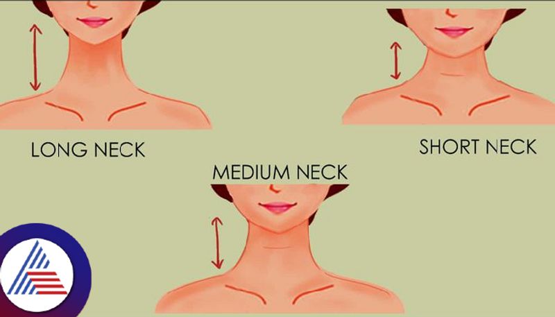 Personality Test Your Neck Shape Reveals Your Hidden Personality Traits Vin