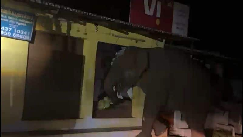 Wild elephant lifted banana and running from shop in erode district