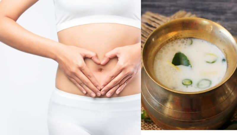 foods To Support Your Gut Health other than curd azn 