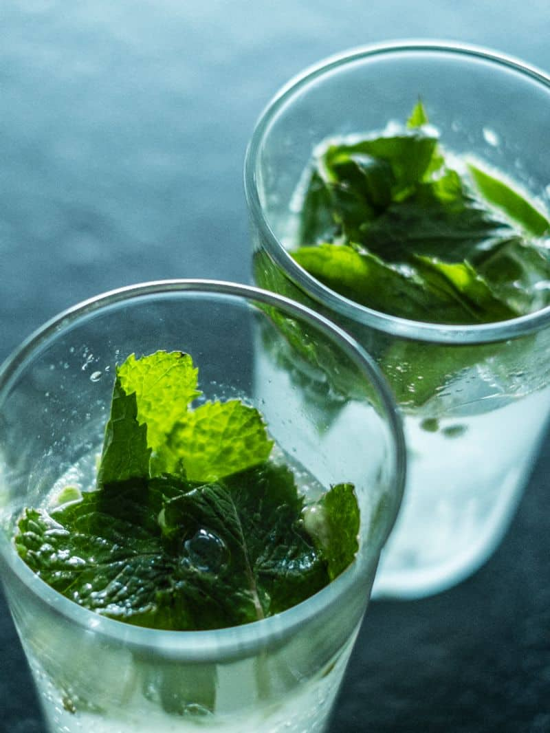 reasons to add mint in your diet azn