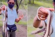 shital kasar handles multiple snakes barehanded netizens bewildered xadm