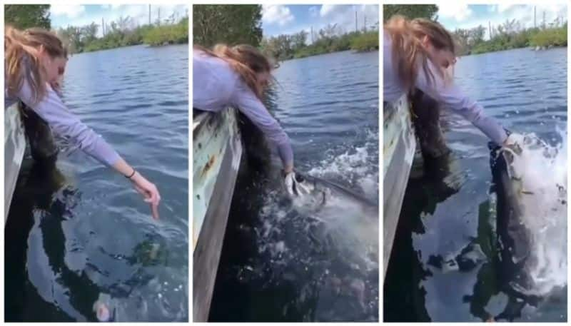 When the woman fed fish in the river with her hand huge fish swallowed her hand bkg