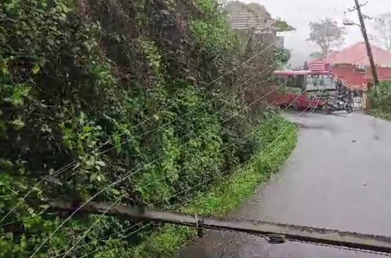 1638 electricity poles were broken due to rain in Kodagu gvd