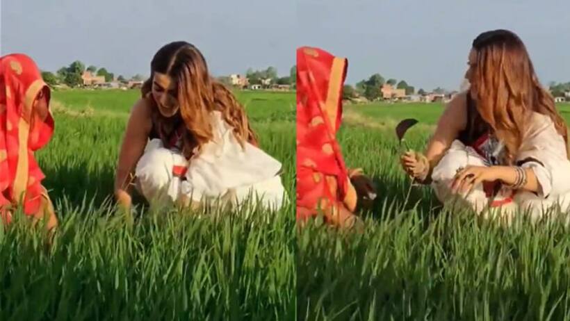 शूटिंग छोड़ खेतों में घास काटती नजर आई भोजपुरी एक्ट्रेस अक्षरा सिंह, वायरल हुआ वीडियो