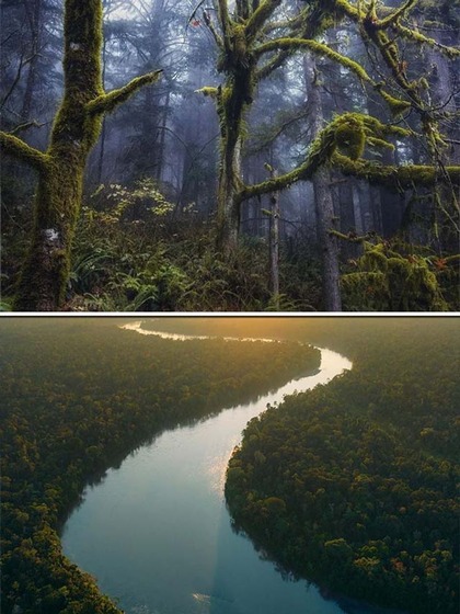Amazon Rainforest to Congo Basin: 7 most dangerous forests