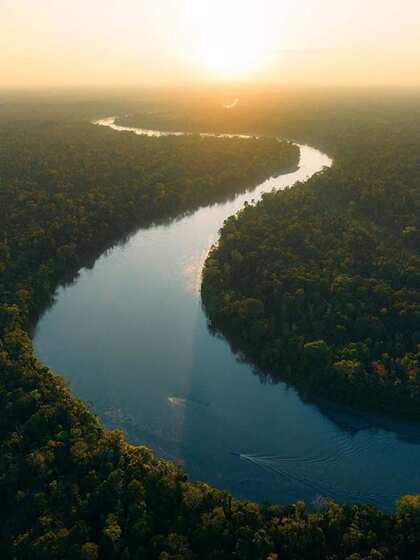 Amazon Rainforest, South America