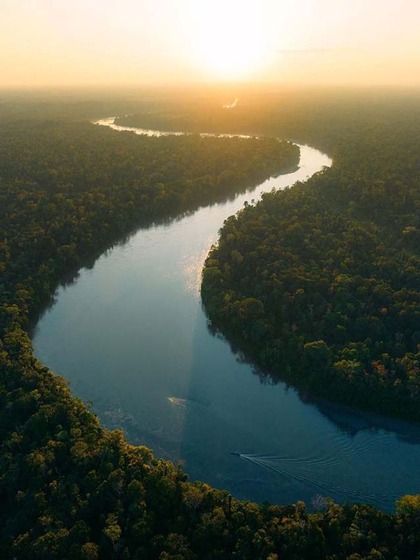 Amazon Rainforest, South America