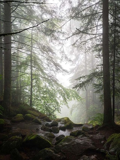 Black Forest, Germany