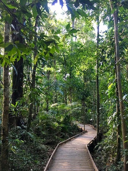 Daintree Rainforest, Australia