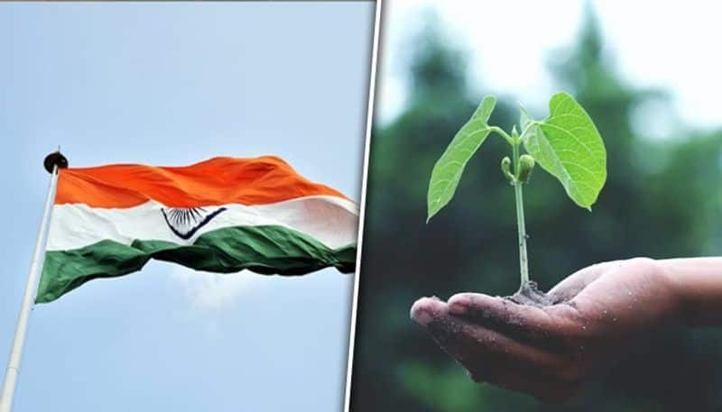 Independence Day 2023: 7 Environment-friendly celebration ideas