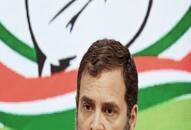 sherlyn chopra marry congress leader rahul gandhi video viral kxa 