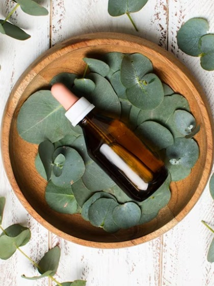 Eucalyptus Oil