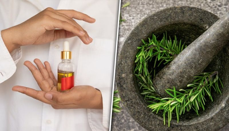 Craft your own Rosemary Oil in 6 simple steps LMA