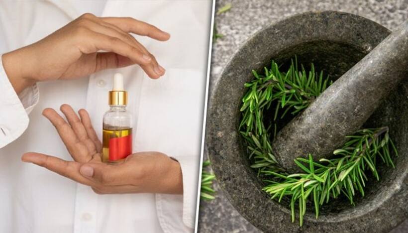 Craft your own Rosemary Oil in 6 simple steps