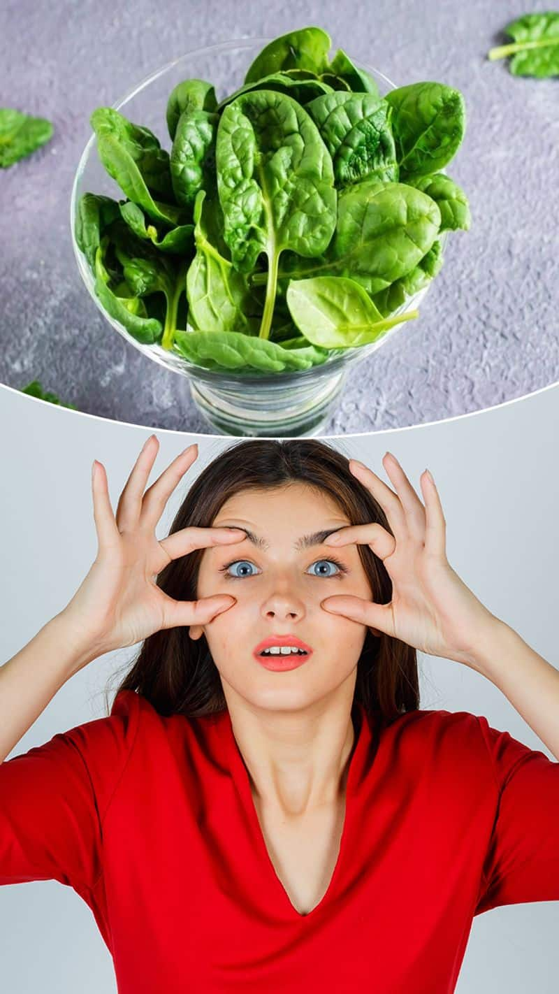 7 vegetarian food for eye health infection protection ZSCA eai