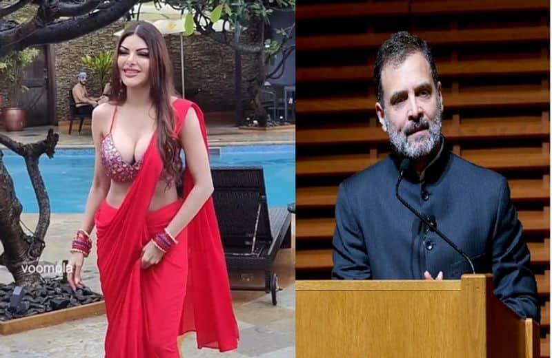 I am ready to marry Congress MP Rahul Gadhi but one condition says Bollywood actress Sherlyn chopra ckm