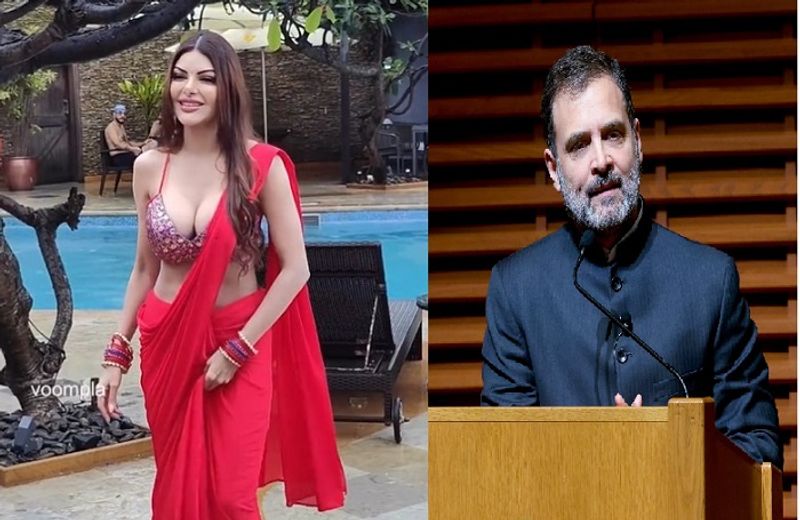 I am ready to marry Congress MP Rahul Gadhi but one condition says Bollywood actress Sherlyn chopra ckm