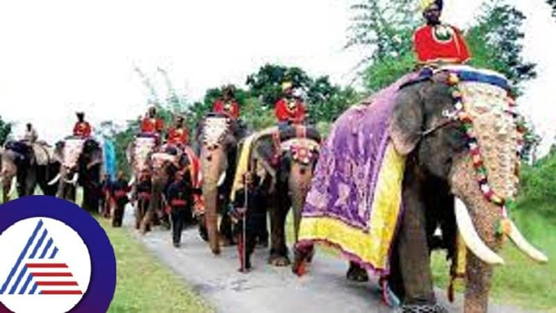 Will Sakrebails elephants get a chance in Dasara 2023 at mysuru rav