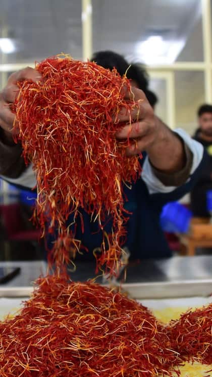 <p>दुनिया के सबसे महंगे मसालों में से एक केसर को 'लाल सोना' कहा जाता है।</p>
