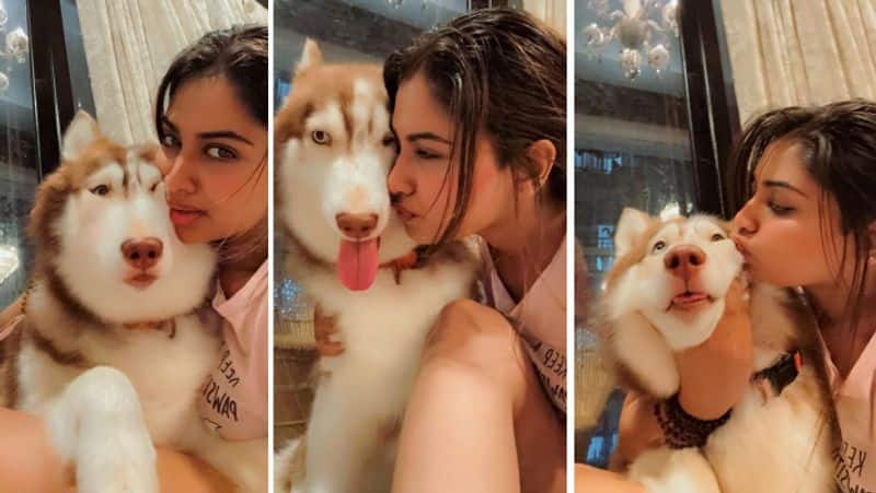 Actress Shivani Narayanan costly dog collections