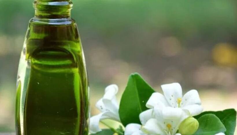 Hair Care: 5 incredible benefits of Bhringraj Oil