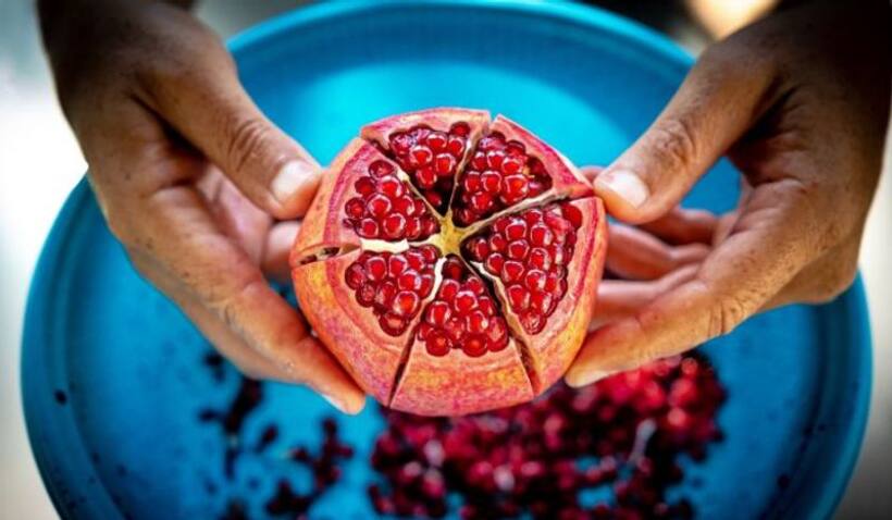 Indian pomegranates go to America, first test batch exported by air