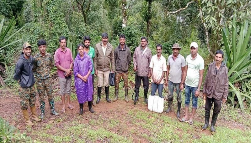 Elephant Attack on Forest Department Officials During Operation in Chikkamagaluru grg