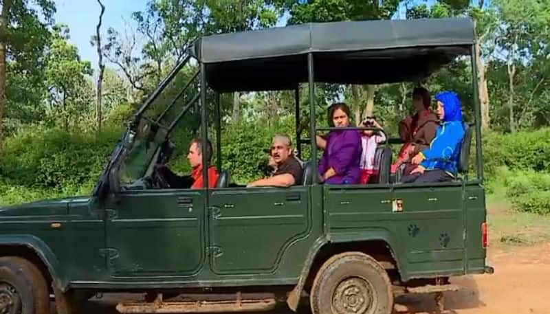 Insurance for Tourists Going to Bandipur Safari grg