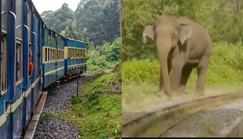 wild tusker hijacks railway track and greeted passengers in ootty mountain train etj