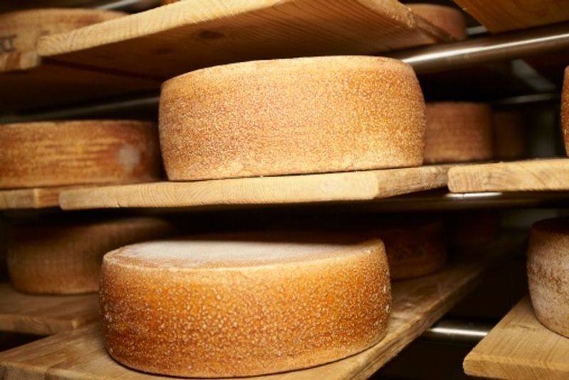 Fatal mishap: Italian cheesemaker dies after being crushed by thousands of cheese wheels snt