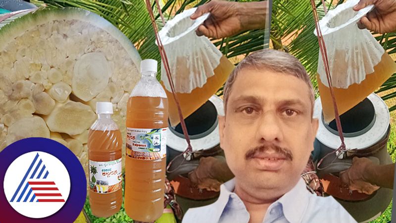 Coastal Karnataka Farmers rewriting way of Agriculture and income due to healthy protein coconut toddy ckm