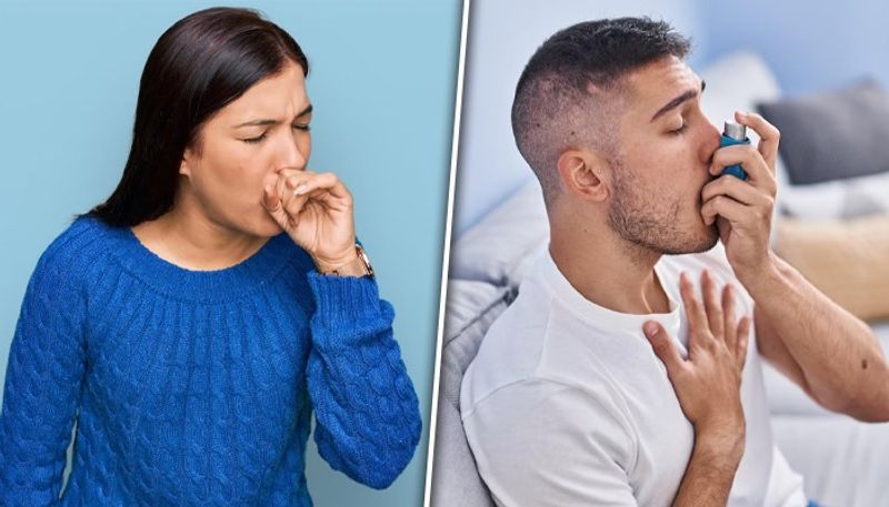 Breathe easy: 6 effective home remedies for reducing asthma attack LMA EAI