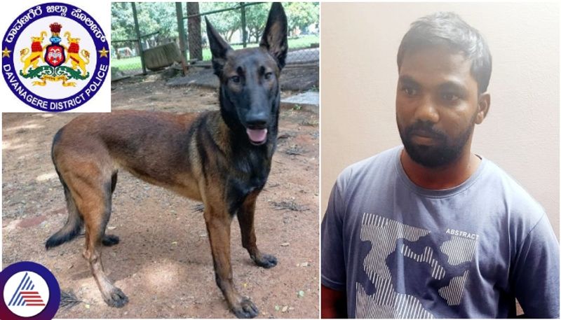 Davanagere Police dog Tara ran eight kilometers and find murder accused sat