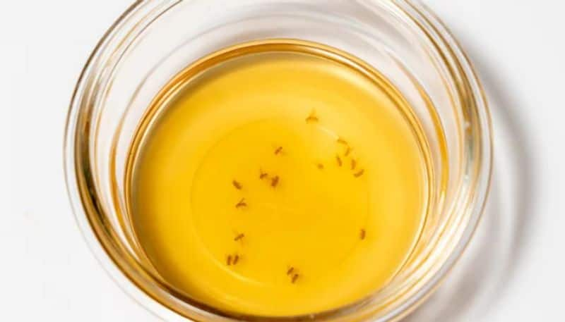 easy kitchen hack to avoid fruit flies hyp