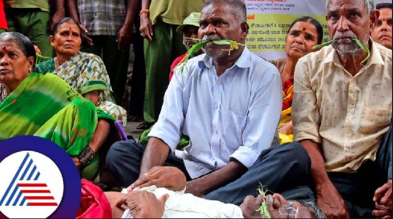 Civic employees protested by eating grass for pension benglauru rav