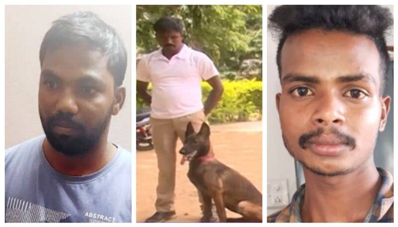 Dog Tara findout accuse of Narasimha murder nbn