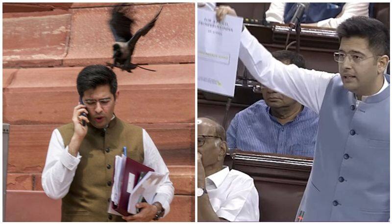 Rajya Sabha Chairman Jagdeep Dhankhar suspended AAP MP Raghav Chadha san