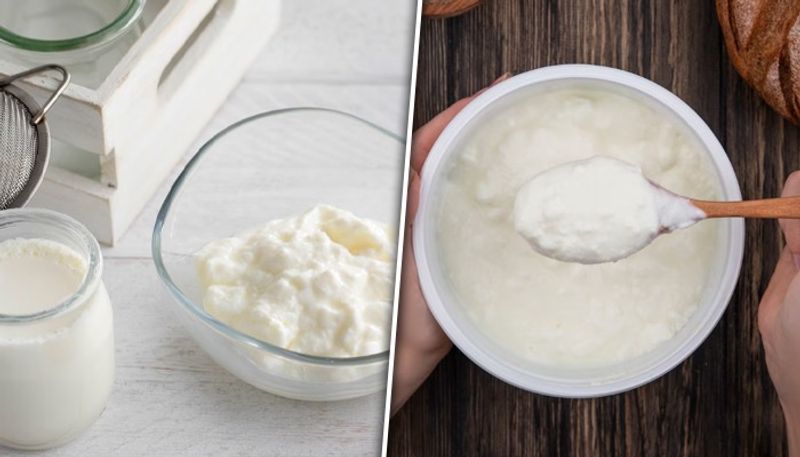 Curd Types Curd vs. yogurt: 6 key differences between these dairy delicacies