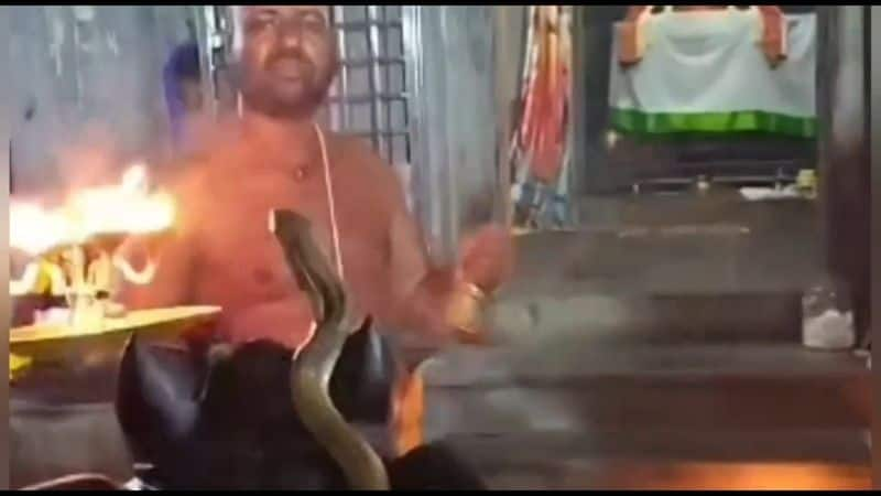 snake arrived sivan temple at tirupattur district